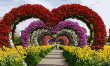 Miracle Garden